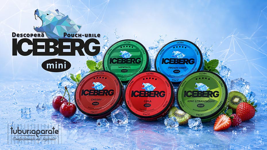 Pouch nicotina Iceberg Mini Menthol (20 mg/pouch) Pouch nicotina Iceberg Mini Menthol (20 mg/pouch)